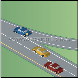 NL-TEST02-29