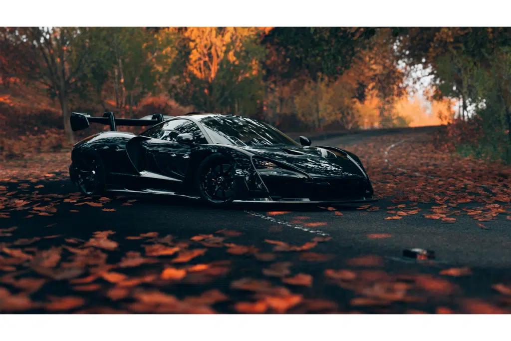 Autumn Leaves on the Road