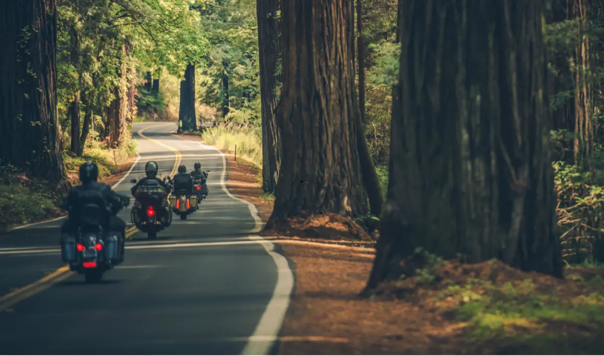 Motorcycle driving test